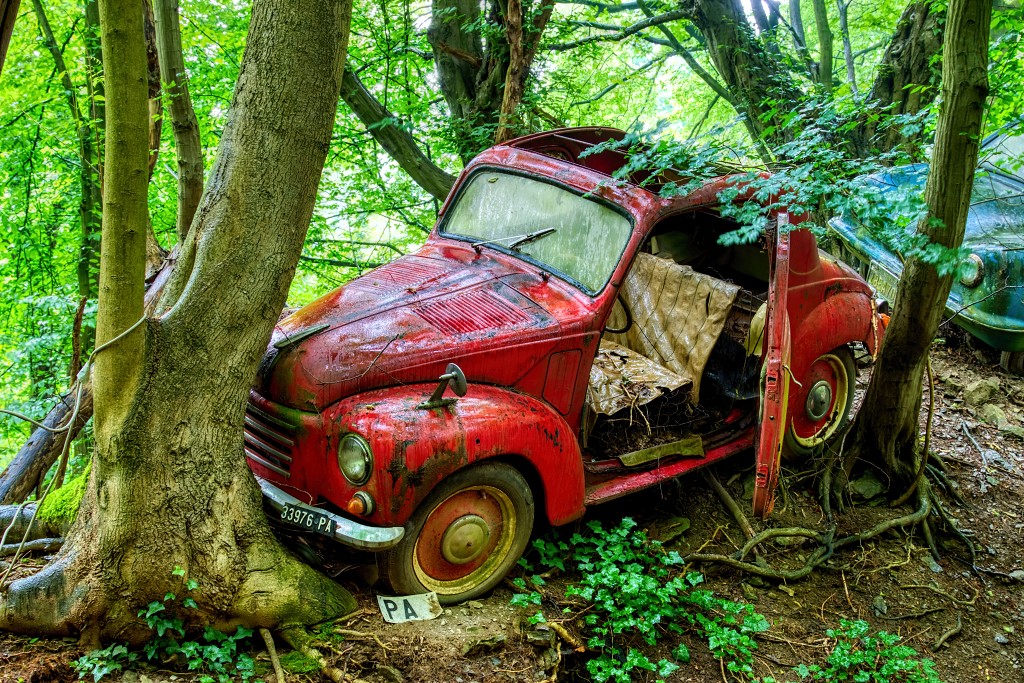 HDR Auto Skulpturen Park museum Neandertal oldtimer urbex decay abandoned derelict abandonne Michael Fröhlich froehlich Duitsland deutschland kunst art